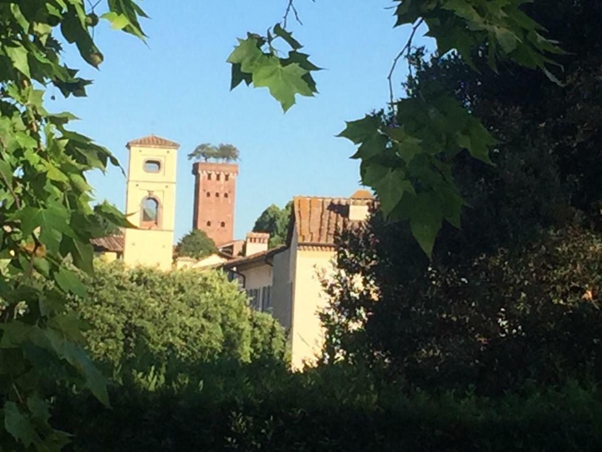 Dependance Civitali37 Lucca Luaran gambar